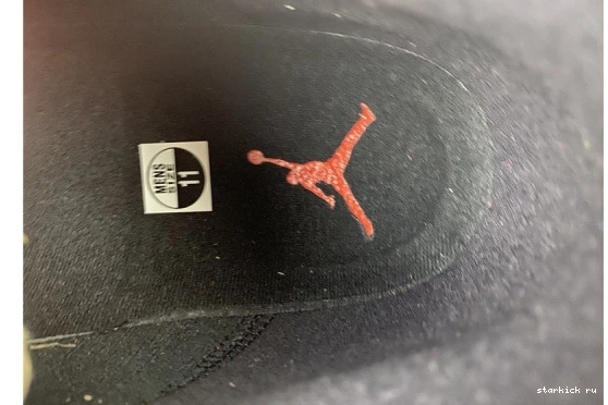 602 DJ5982 “Reverse Jordan Bred